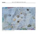 "보고 느끼기" 최용천 Choi Yong Chun 이미지