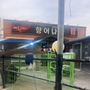 [경산 맛집] 향어나라 – 비릿내 없이 신선한 향어회! 저녁 술자리에도 딱 좋은 횟집