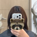 춘천염색방