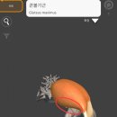 2026.06.24 4주차 강의 이미지
