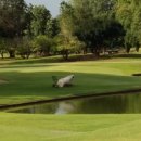 사파이어 골프 이미지