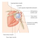 포에버짐 화원점 이미지