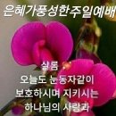 굿모닝 ㅡ좋은 아침입니다 ㅡ 이미지