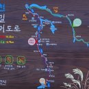 성환천 억새길 | 평택,천안 자전거길 [성환천억새길]