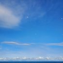 법친구 행정사 사무소 이미지