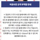 따식PC | 집에서 여권사진 찍기 규정 및 규격, 온라인여권재발급