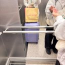 시드니 | 티웨이 TW501 인천 시드니 후기｜게이트백 서비스 요금, 세미프리미엄존 무료 배정 솔직 리뷰