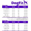 독핏코리아 이미지