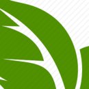 초당농장 이미지