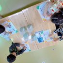 아람초등학교 이미지