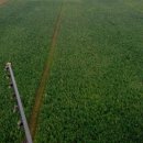 성실농장 이미지