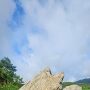 초막골 생태공원 Daum카페
