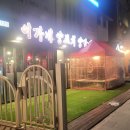 돋보이 개 이미지