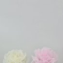풍경주 | 울산 자이언트 실크플라워 자격증 클래스 대구 수강생과 함께한 풍꿈담 수업 후기