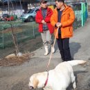 천하온식품 네이버블로그