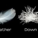 국제세탁소 이미지