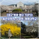 계명공원 | 대구 벚꽃 명소 TOP3 동촌유원지, 수성못, 계명대학교 포토존 사진 꿀팁