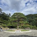강산빌리지 | [곤지암/화담숲 가을여행] 단풍은 아직!(10월 16일 기준) 시원한 공기와 초록빛 여운이 남은 10월의 숲🌳