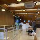 강아지&고양이 마을 | 포항 숲강아지 유기동물 보호소 봉사활동 후기