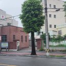 산수동우체국 이미지