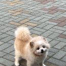 선아세탁소 이미지