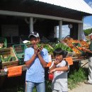 정용농장 이미지