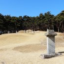 이색신도비 Daum카페