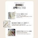 온마데 이미지