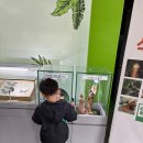 서울숲 곤충식물원 화장실 | 아이와 서울숲 곤충식물원 다녀옴 (+숲속놀이터도..)