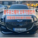 오뚜기렌트카 이미지