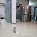 메르벨르리조트 | 태안풀빌라펜션 메르벨르리조트 위치 영업시간 후기
