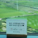 바르바커피 | 대부도 바르바커피 타워360 후기