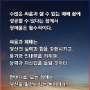 내동지 Daum카페