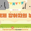 movepet 이미지