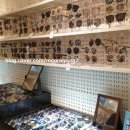 안경공장공장장 렌즈아이 이미지