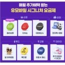 다이소24