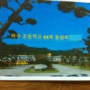 백수초등학교 이미지