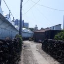 남원읍-120 Daum카페