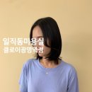 신혜미용실 이미지
