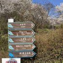 농다리 | [충북 진천]2026 생거진천 농다리 축제 후기 (feat.출렁다리)