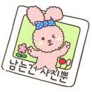 가평댕댕이애견펜션그린 이미지