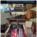 양양 | 이색적인 생선구이 양양맛집 노각 솔직후기