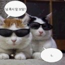 수제꼬치오뎅포차 이미지