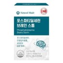브레인스톰 이미지