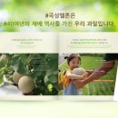 곡성-188 네이버블로그