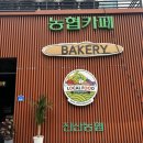 진산주유소 | 금산 카페, 금산 베이커리 카페 [금산 진산농협카페]