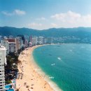 파라다이스 이미지