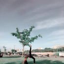 요가소도구필라테스C 이미지