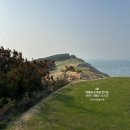 비아피 클럽 이미지