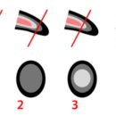 멍멍나래애견미용 - 남양주시 장현로 115 | 멍멍나래애견미용